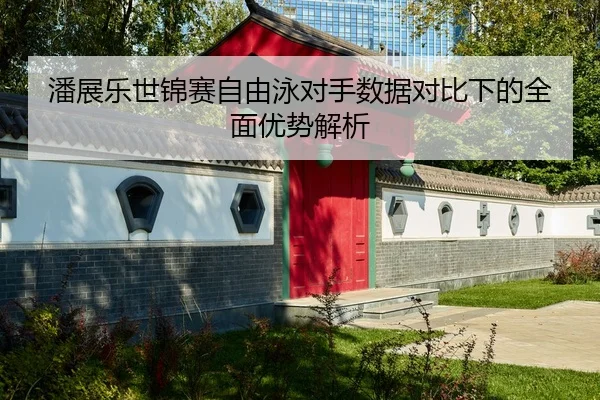 潘展乐世锦赛自由泳对手数据对比下的全面优势解析