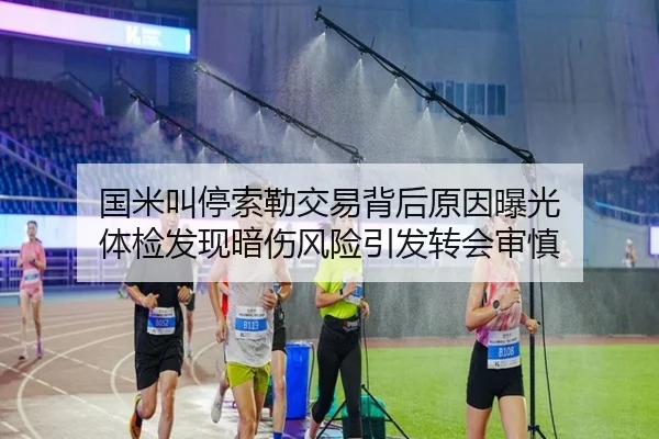 国米叫停索勒交易背后原因曝光 体检发现暗伤风险引发转会审慎