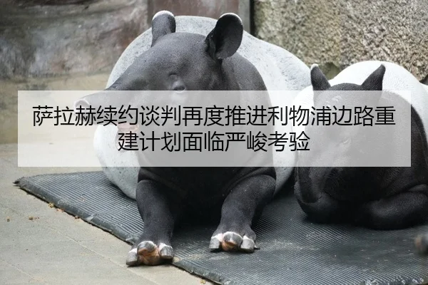 萨拉赫续约谈判再度推进利物浦边路重建计划面临严峻考验